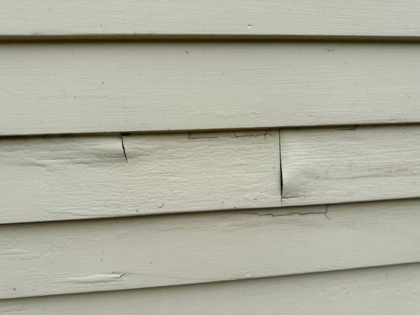 Best Vinyl Siding Installation  in Belle, WV